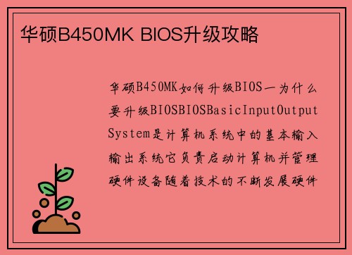 华硕B450MK BIOS升级攻略